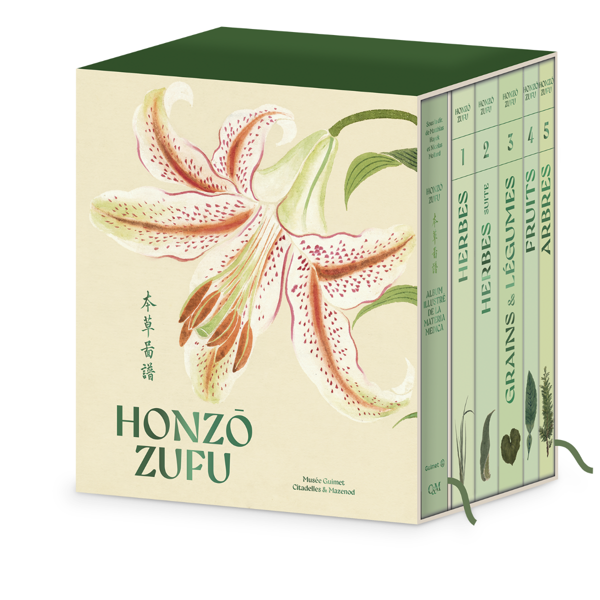 Honzo zufu