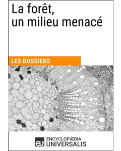 La forêt, un milieu menacé