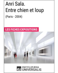 Anri Sala. Entre chien et loup (Paris - 2004)