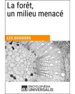 La forêt, un milieu menacé