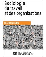 Sociologie du travail et des organisations