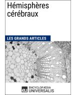 Hémisphères cérébraux 