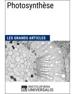 Photosynthèse 