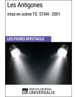 Les Antigones (mise en scène TG STAN - 2001)