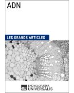 ADN